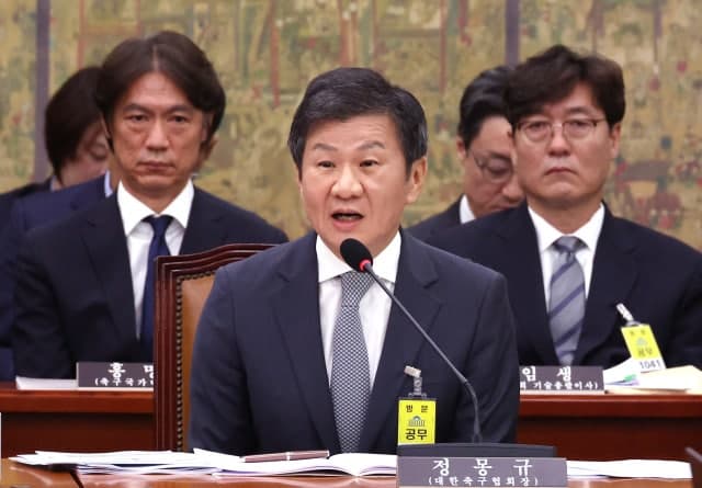 문체위, 축구협회 청문회 추진…정몽규·홍명보 국회 부른다
