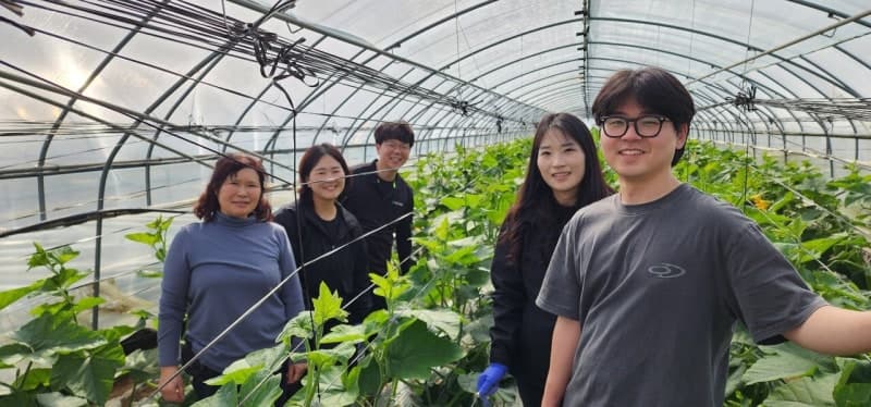 청주시농기센터, 애호박 '뿌리혹병' 원인균 국내 첫 규명