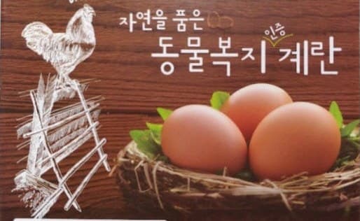 농식품부, 동물복지 산란계 농장 특별점검…인증 10곳 취소 및 관리미흡 24곳 적발