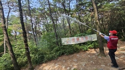 인천 계양구, 러브버그 선제 방제 효과…주민들 "올해 러브버그 줄었다"