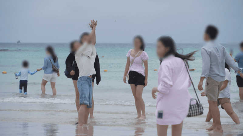'조기 개장' 제주 해수욕장, 9일 만에 이용객 11만명 돌파…안전·바가지 관리 강화