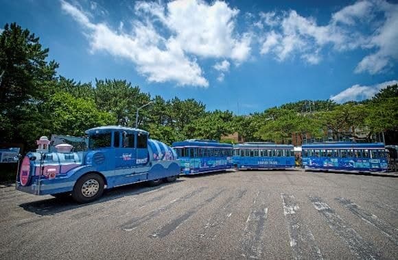 부산 태종대 다누비열차 3개월 만에 또 사고…승객 2명 부상