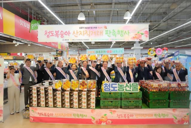 청도 복숭아, 울산 소비자 공략…농협 울산 유통센터에서 최대 20% 할인 판촉 행사