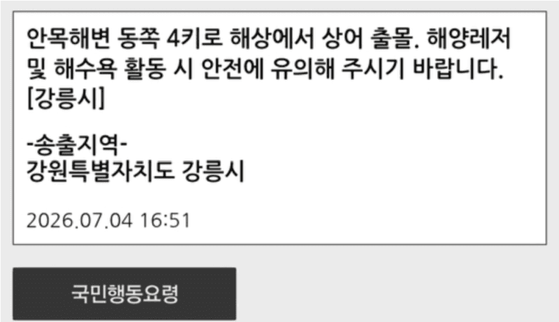 강릉 앞바다 잇단 상어 출몰 신고…해경·지자체 긴급 조치 및 재난문자 발송