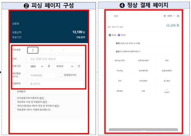 "결제창인줄 알았는데"…온라인 쇼핑몰 피싱 주의보, 카드정보 5707건 탈취