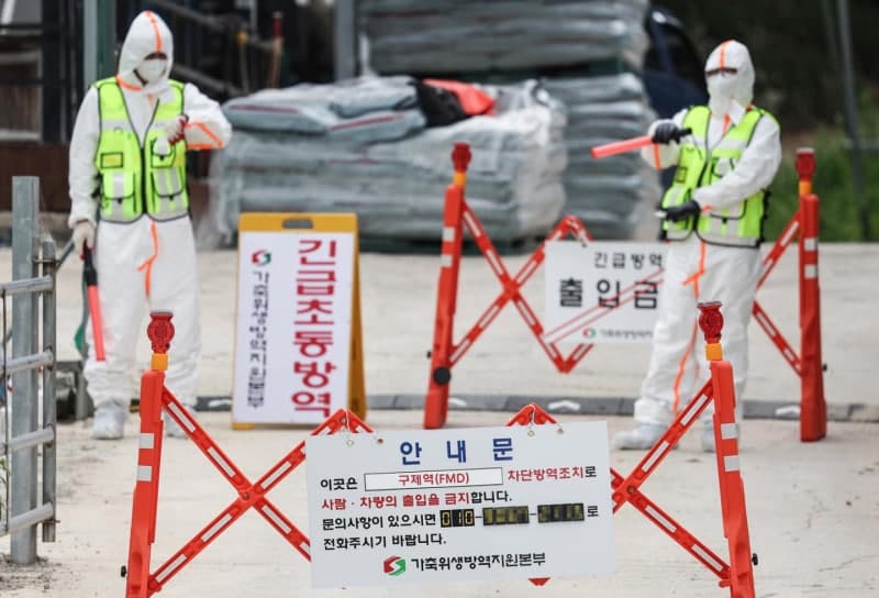 "예천 구제역 확산 막아라"…경북도, 17일까지 백신 접종 총력