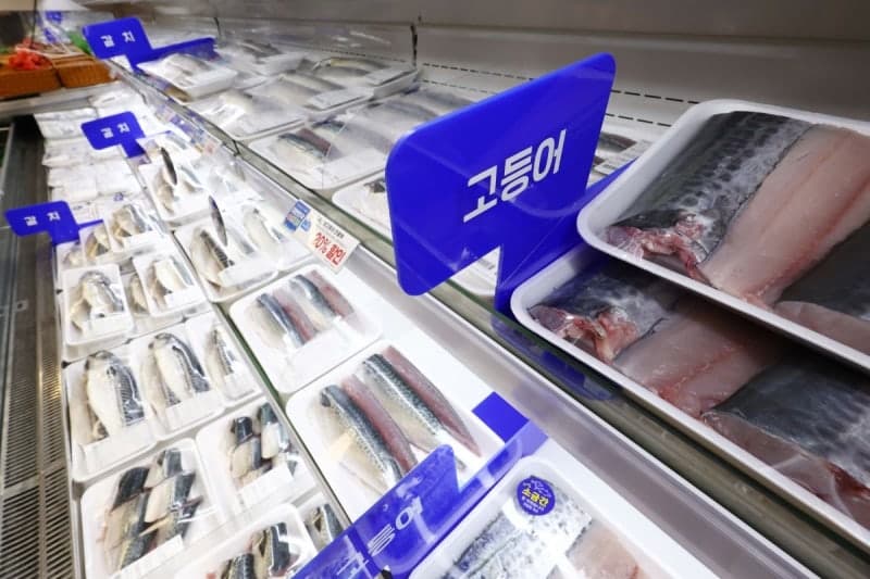 정부, 노르웨이에 '고등어 특사단' 파견…2000t 추가 확보 및 수산물 50% 할인