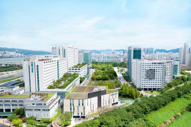 서울아산병원, 네이처 인덱스 '연구 선도 의료기관' 국내 1위 "연구 영향력 입증"