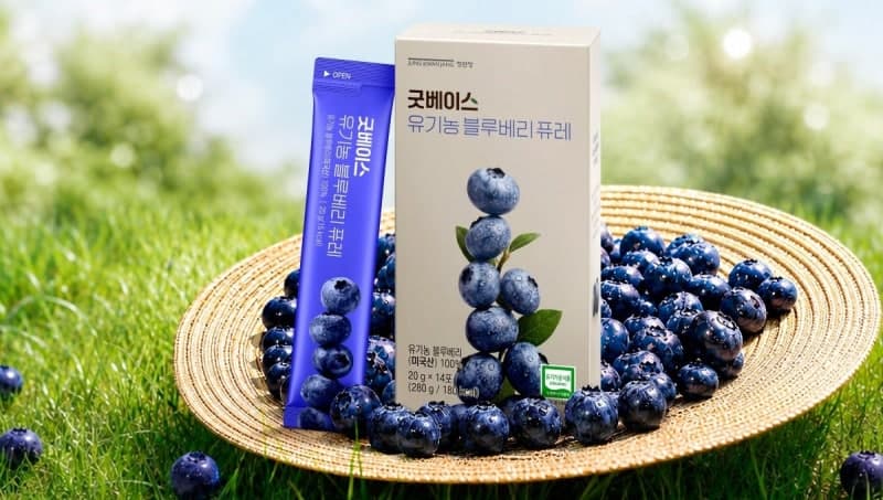 정관장, "물·설탕 0%" A등급 대과만 통째로 간 '유기농 블루베리 퓨레' 출시