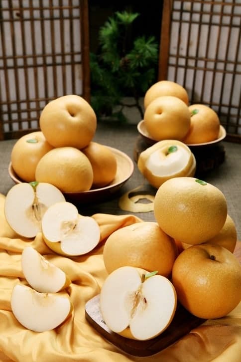 K-과일 수출길 넓혔다…배 이집트 진출·포도 호주 전 품종 개방