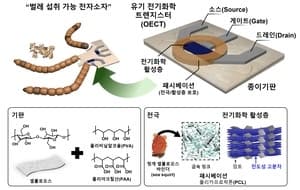 GIST·인하대, "쓰고 버린 전자소자, 벌레가 먹어 분해한다" 친환경 전자소자 개발