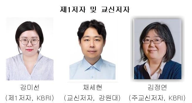 "하루만 혼자 있어도 '아는 개체' 더 찾게 돼" 뇌연구원, 사회적 고립이 사회성 바꾸는 기전 첫 규명