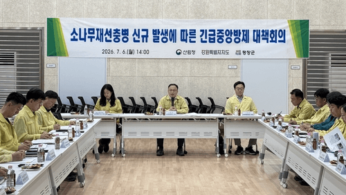 평창서 소나무재선충병 발생…산림청 "초기 확산저지 총력"