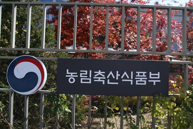 농가 '이중고'에 경영안전망 강화…내달 27일부터 '농산물 가격안정제' 시행