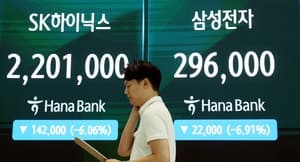 “이 실적 내고 떨어지면 어쩌라고”…역대급 실적에도 '롤러코스피'에 파랗게 질린 '삼전 개미'