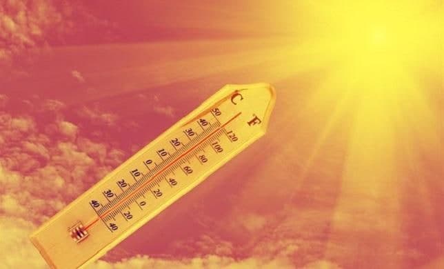 괴산 야산서 풀베기 작업하던 20대 외국인 노동자 '열사병 추정' 사망