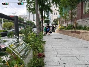종로구, 창신초 보호구역에 "안전·쉼 더한" 녹색 통학로 조성 완료