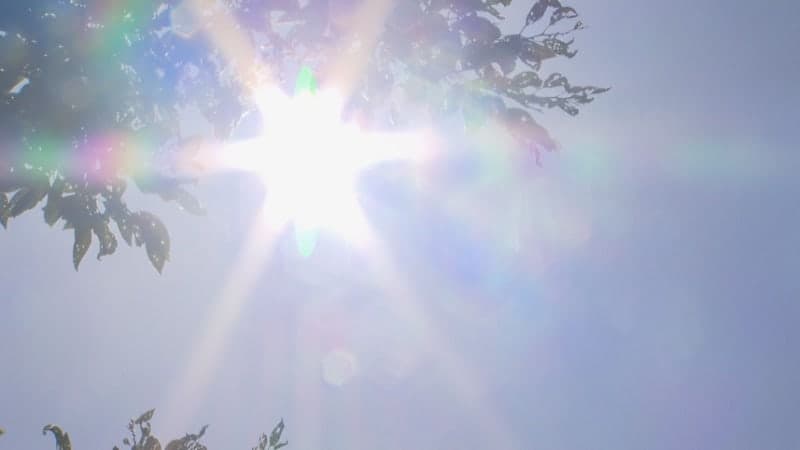 "밤에도 덥다" 제주 첫 열대야…폭염특보 확대, 곳곳 열대야도