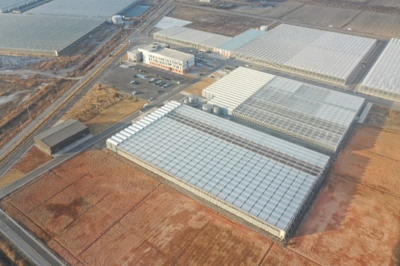 전남광주통합특별시, 224억 투입 'AI 영농형 태양광 스마트팜' 실증 착수