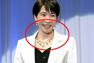 "불쾌함 넘어 구역질"…2억 보석 휘감은 日다카이치에 비판 쇄도