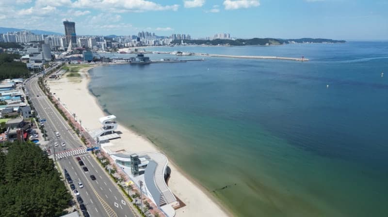 포항 8개 해수욕장 11일 동시 개장…44일간 피서객 맞이