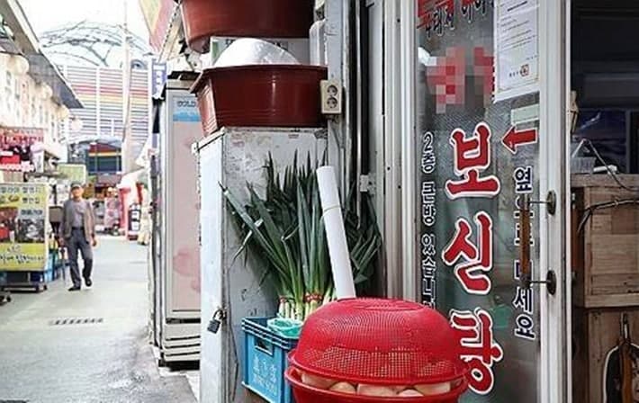 日연립여당, 개 식용 금지법 추진…“개고기 먹으러 일본 올지도”