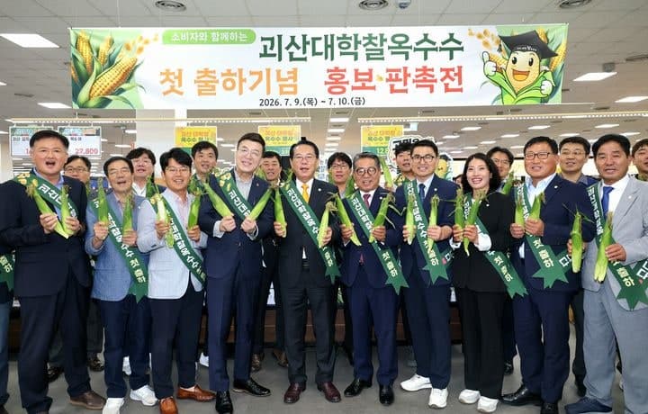 명품 괴산대학찰옥수수 첫 출하…'쫀득한 식감' 1만1천500t 생산