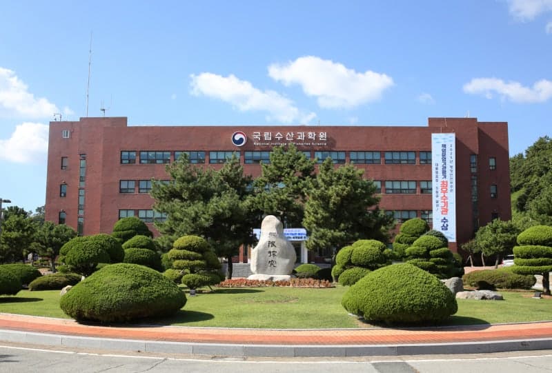 기후 온난화에 우리 바다도 "이상 고온"…상반기 연안 평균 수온 17.17℃로 역대 최고