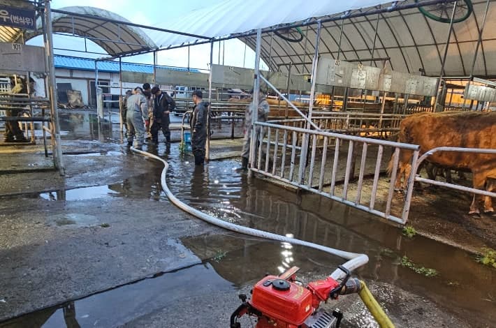 전남광주 밤사이 비피해 30여건…오늘 오후까지 최대 200mm 비 더 온다