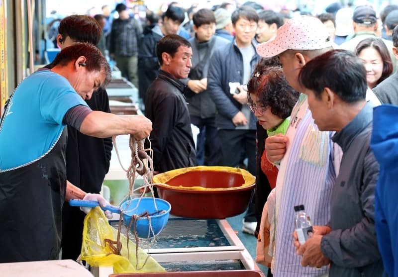강진 마량놀토수산시장, 18일부터 여름 이벤트 시작...“토요일엔 마량으로”