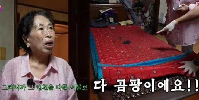 “멀쩡한데 왜 버려” 전원주 곰팡이 침대…의사가 경고한 '이것' 사망 이를수도