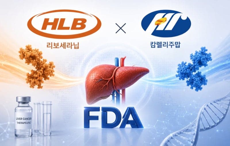 HLB 간암 신약, FDA 세 번째 제동…"中 항서제약 실사 발목"