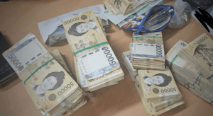 "내 돈" 횡설수설 외국인 여성, 비닐봉지에 1억6000만원 숨긴 채 검거