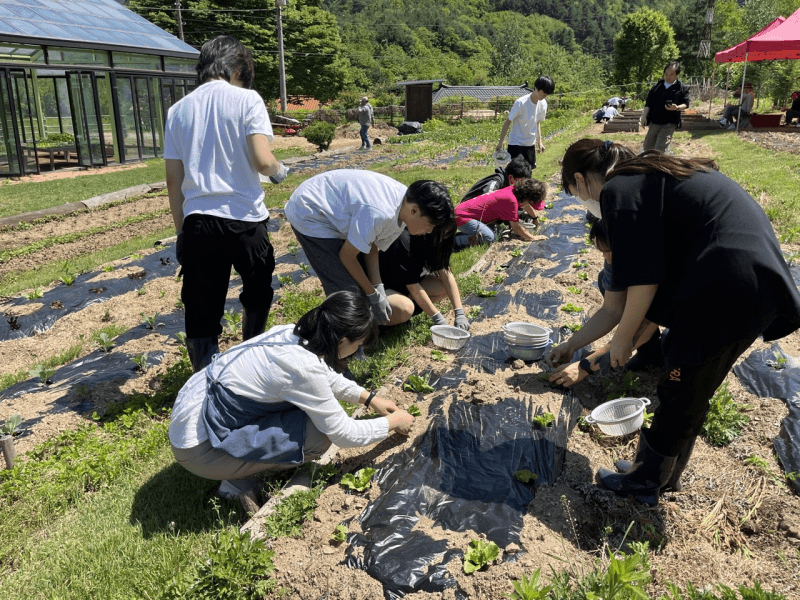 강원교육청, 교육혁신 선도지역 공모 준비 본격화…지역 특화 모델 발굴 열띤 토론