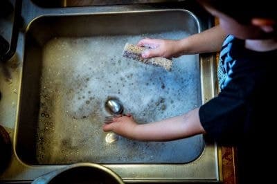 "돈도 친구도 없었다"…브라질판 '염전노예' 55년간 3대 걸쳐 노동 착취당한 여성 구조