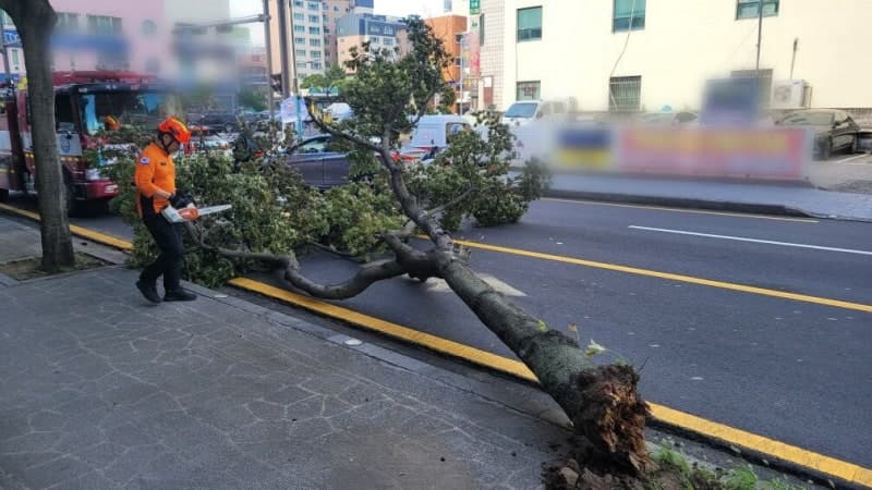 제주 강풍·급변풍, 하늘·바닷길 마비 및 시설물 피해 속출