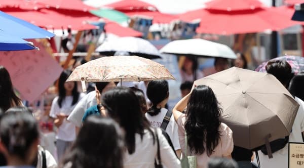 경북 경산·포항에 사상 첫 '폭염중대경보' 발령…"야외활동 즉시 중단"