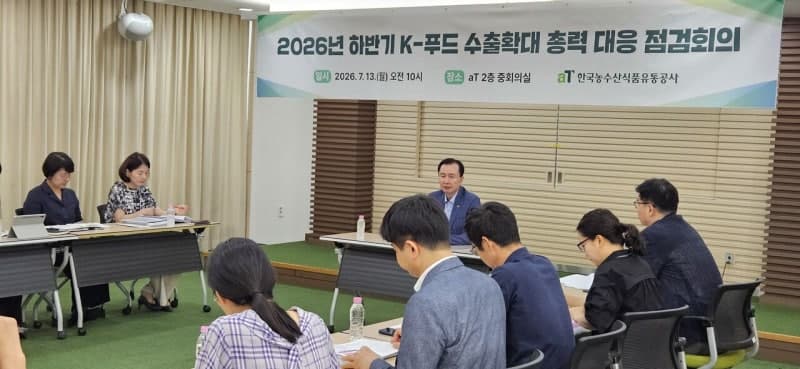 상반기 K-푸드 수출 72.4억달러 '역대급'…라면 28%↑ 성장 견인, 연말까지 상승세 잇는다