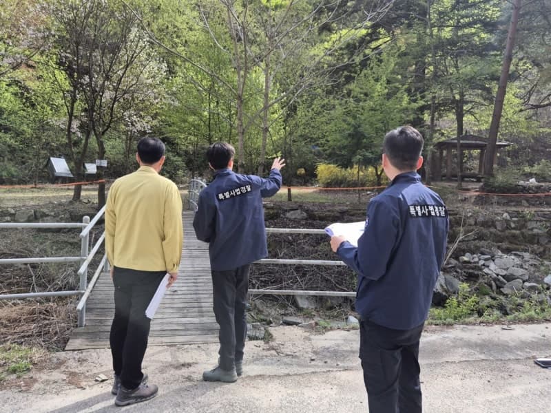 산림청, "함백산 마가목 훼손" 피의자 끝까지 추적 엄벌…무단 벌목 강력 처벌