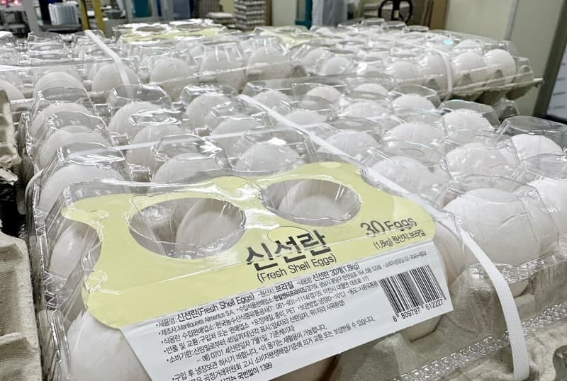계란 수급 불안에 브라질산 첫 수입…정부, 공급망 다변화 추진