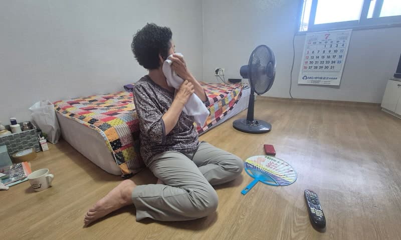 불판 밭두둑·습식 하우스… 경북 농가 '살인 더위와 사투'