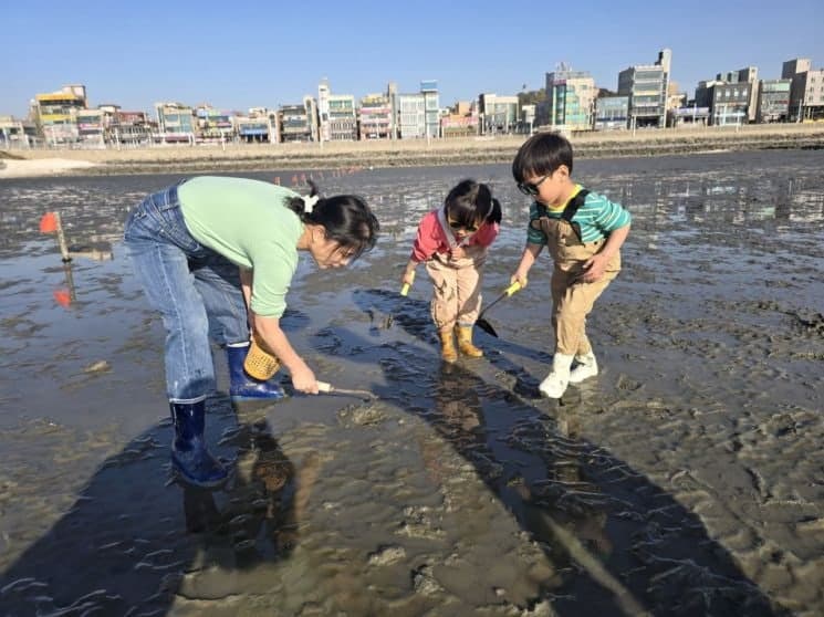 "조개 캐고 파도 타고"…수도권 바다 휴양지로 뜬 시흥 오이도·거북섬