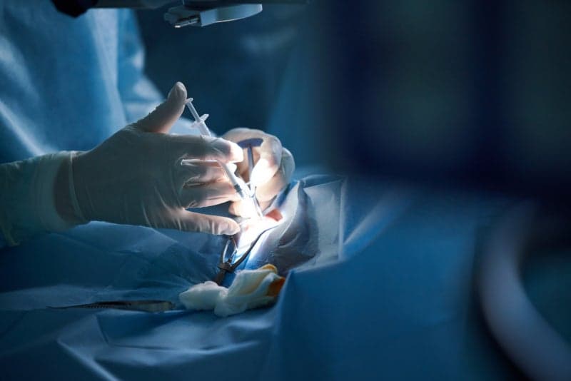 마취제 과다 투여로 환자 사망…50대 의사 2심서 '집유'로 감형