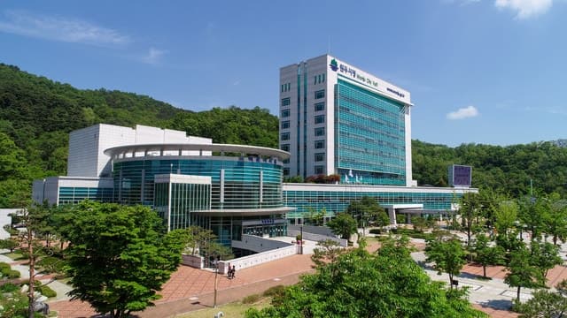 양구군, 자치단체 합동평가 4년 연속 우수시군 선정 "군민 체감 행정 성과"