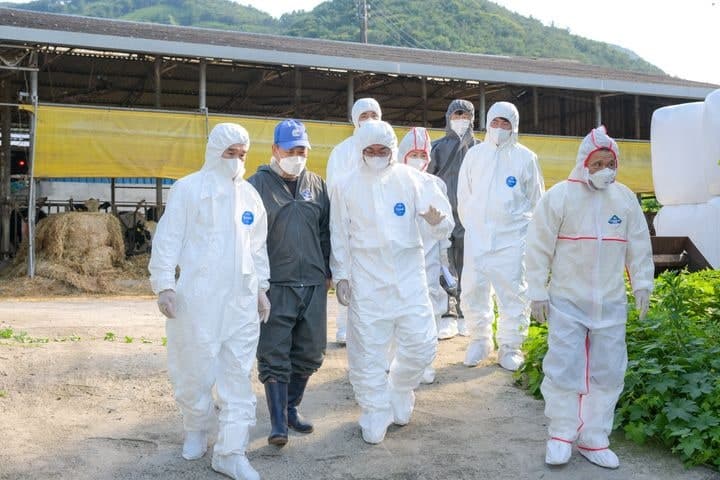 순천 젖소 농가 브루셀라 발생…방역 당국, 확산 방지 '총력'