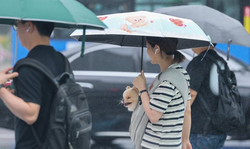 전국 무더위·열대야 지속, 충청 이남 장맛비