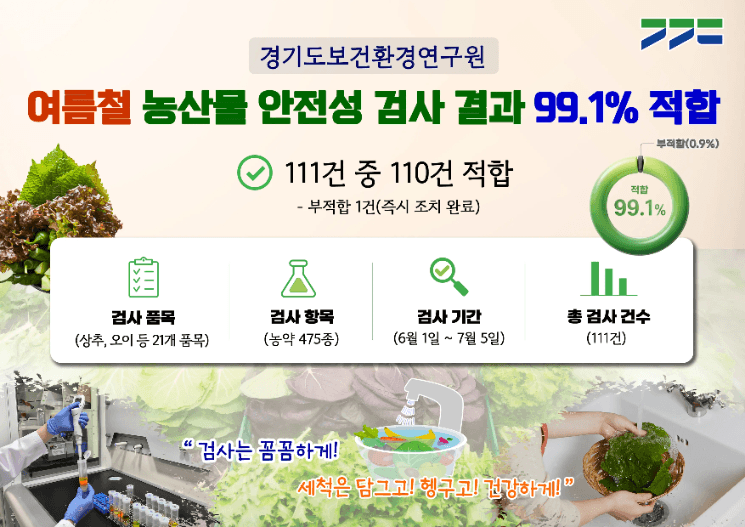 경기도, 휴가철 쌈채소·농산물 안전성 검사…99.1% '적합'