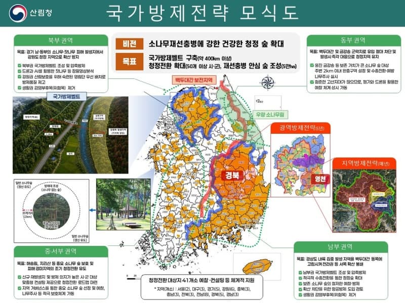충남 서해안 '안면송 살리자'…소나무재선충병 확산 차단 위한 국가방제벨트 구축