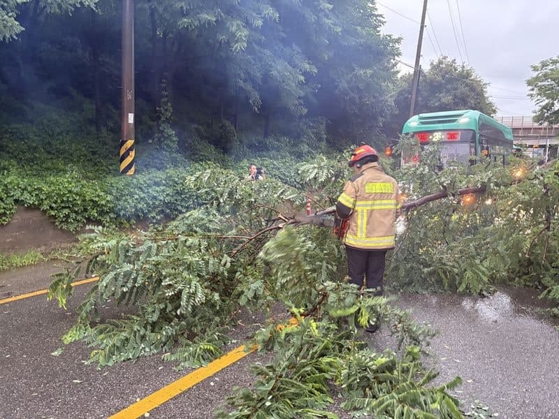 수도권·중부지방 밤사이 집중호우…경기 북부 192mm 폭우에 산사태 경계 상향