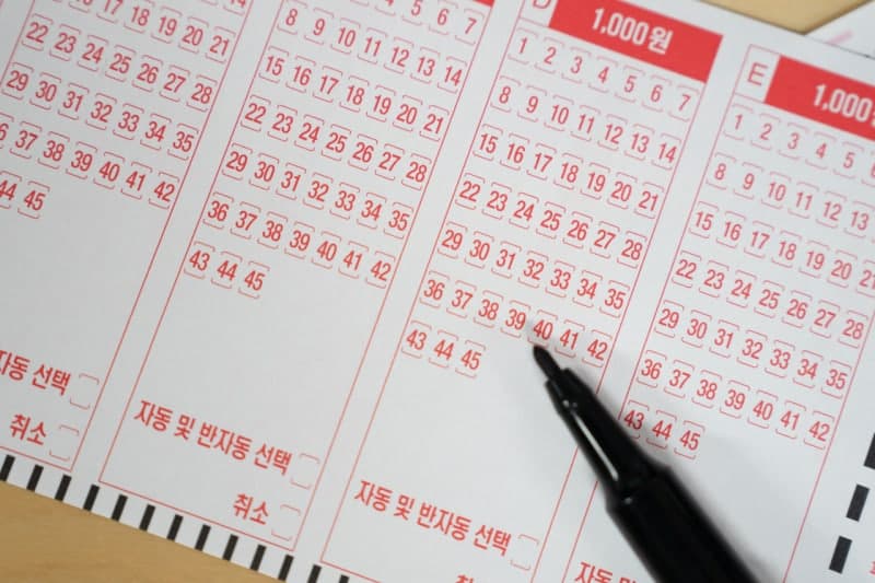 1233회 로또 1등 31명, 각 8억대 당첨금…영암서 5게임 중복 당첨